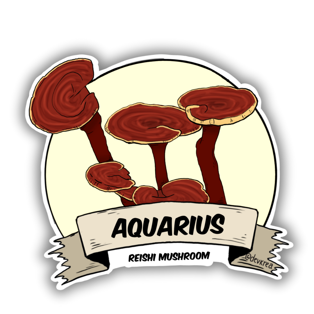 Aquarius Zodiac  3" Vinyl Sticker | Deviant Kreations